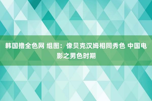 韩国撸全色网 组图：像贝克汉姆相同秀色 中国电影之男色时期