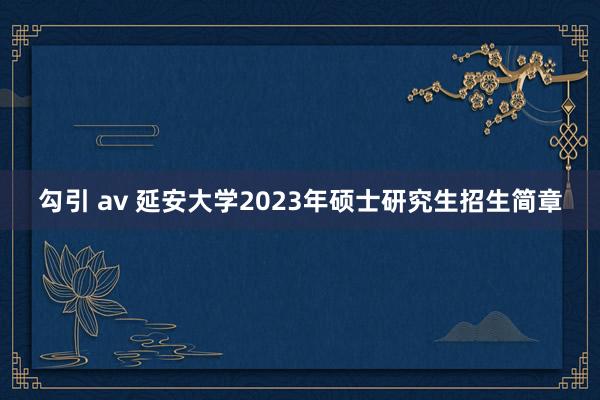 勾引 av 延安大学2023年硕士研究生招生简章