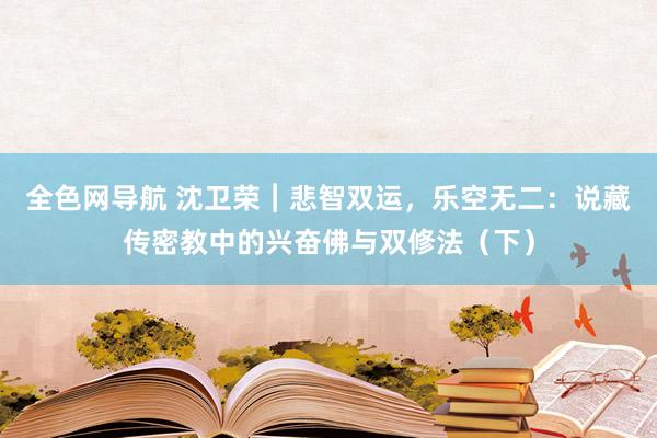 全色网导航 沈卫荣︱悲智双运，乐空无二：说藏传密教中的兴奋佛与双修法（下）