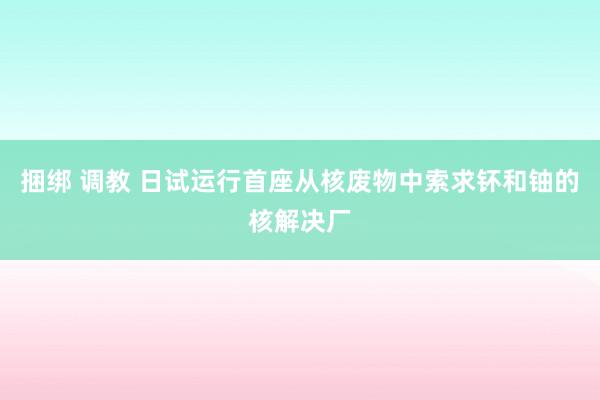 捆绑 调教 日试运行首座从核废物中索求钚和铀的核解决厂