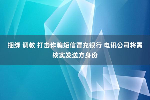 捆绑 调教 打击诈骗短信冒充银行 电讯公司将需核实发送方身份