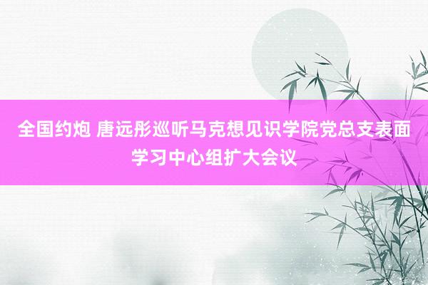 全国约炮 唐远彤巡听马克想见识学院党总支表面学习中心组扩大会议